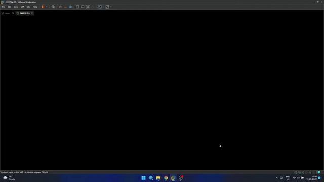 How to install Deepin Os on Vmware смотреть онлайн