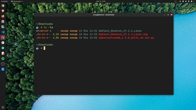 Instalasi Davinci Resolve 17 di Ubuntu 20.04 смотреть онлайн