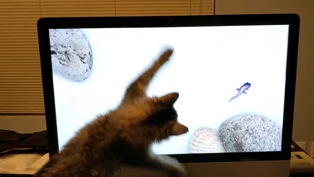 Meeka and the iMac gecko смотреть онлайн