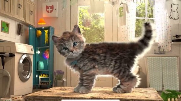 Play Fun Pet Care Kids Game - Little Kitten My Favorite Cat - Fun Cute Kitten Game