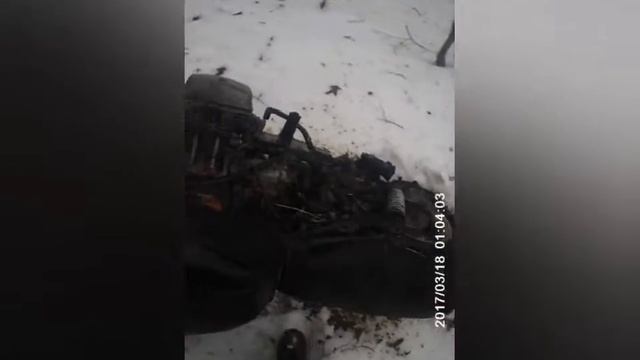 На МТ Днепр в дерево смотреть онлайн