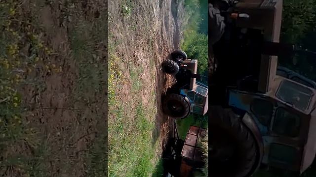 Перевозка сена 2016 смотреть онлайн