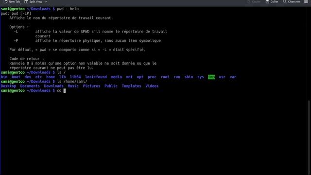 Les Commandes Linux internes-La Commande : pwd [ -P ] смотреть онлайн