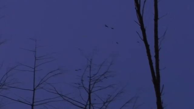 A Heart Like Hers - Mac DeMarco смотреть онлайн