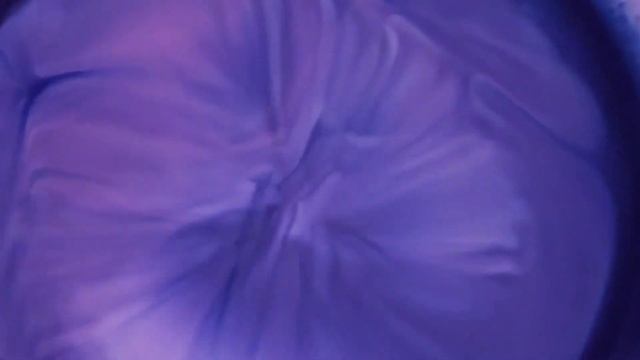 iPhone 12 Purple смотреть онлайн