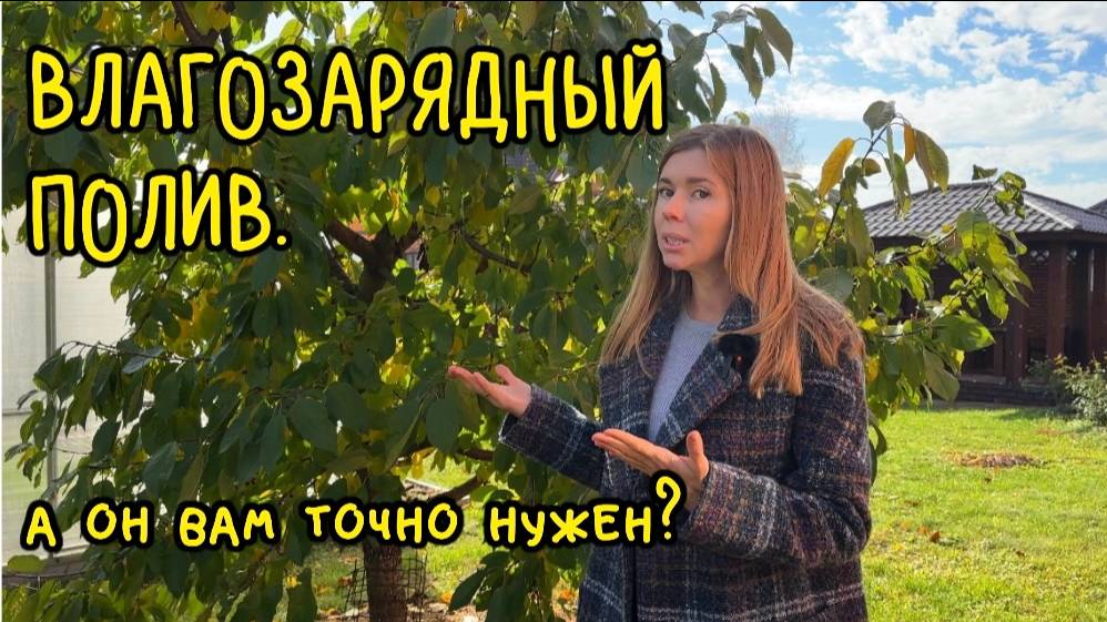 ВЛАГОЗАРЯДНЫЙ ПОЛИВ ОСЕНЬЮ. Как определить, что он нужен вашему саду смотреть онлайн