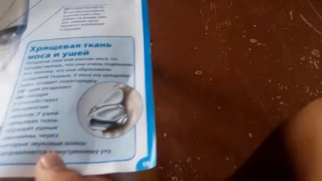 Обзор журнала "Собери и изучи тело человека" №2 верхняя часть черепа и 1- ая часть мозга смотреть онлайн