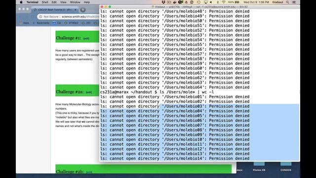 Introduction to Bash Lab #3 смотреть онлайн