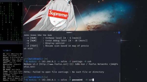 medusa Kali Linux