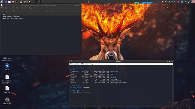 форматирования флешки в Kali Linux смотреть онлайн