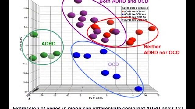 A Window into the Minds of Children and Adults with ADHD смотреть онлайн