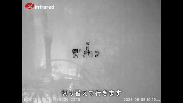 サーマルカメラ「InfiRay Xinfrared T2 pro」レビュー смотреть онлайн