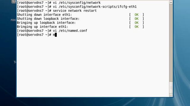 DNS sous fedora 8 смотреть онлайн
