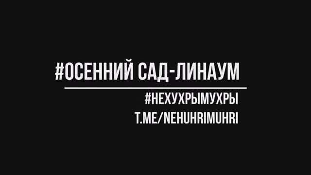 осенний сад смотреть онлайн