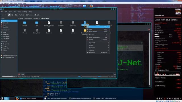 Auto Remove Self On Wrong Password Linux Secure Bash Script Example смотреть онлайн