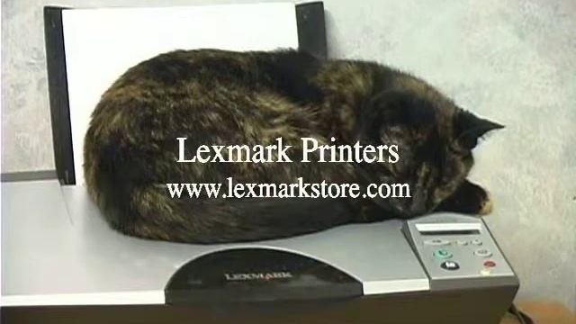 Tasha Denise Rueff on a Lexmark X5250 Printer смотреть онлайн