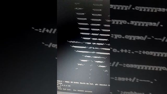 How to boot on a VPS смотреть онлайн