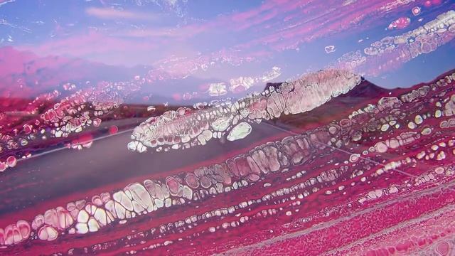 Visuales Graves para Cafe Amsterdam x Cornelius смотреть онлайн