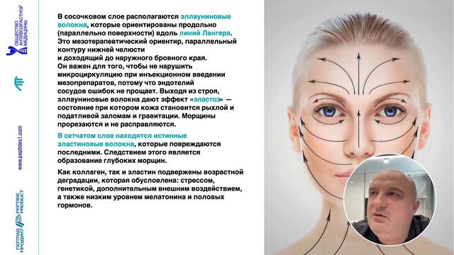 Гиалуроновая кислота. Коллаген. Эластин. Гиподерма. Жировые пакеты лица. SMAS смотреть онлайн