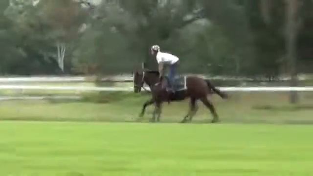 Exceed And Excel X Common Smytzer Muskoka 14 March 2016