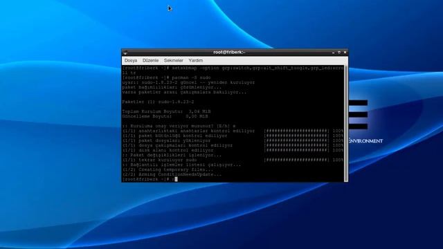 Arch Linux LXDE Kurulumu [TÜRKÇE] смотреть онлайн