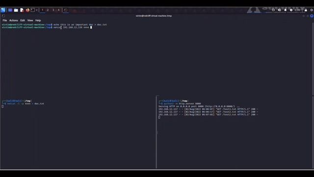 Privesc File Transfers | Linux смотреть онлайн