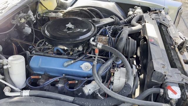 1977 CADILLAC ELDORADO For Sale смотреть онлайн
