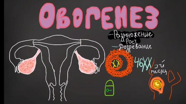 VID_20241023_193749_962