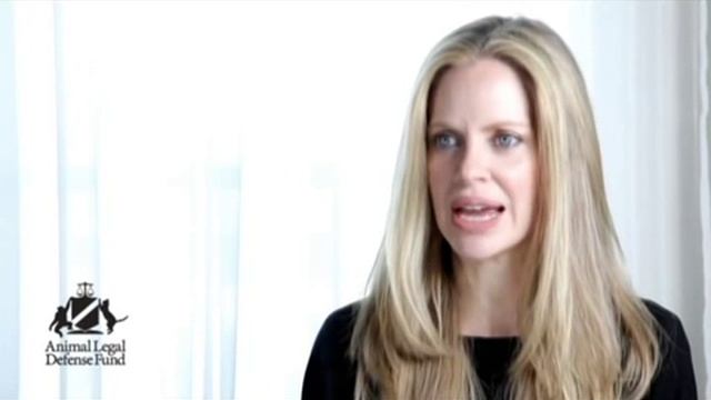 Bites with Kristin Bauer: Puppy Mills смотреть онлайн
