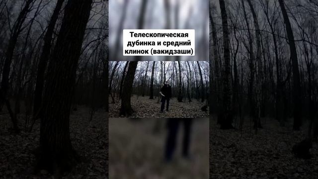 Телескопическая дубинка и вакидзаси #shorts