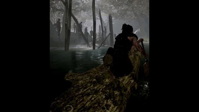 Hellblade Senua's Sacrifice - VR on linux. 2021.03.21 14:48 смотреть онлайн