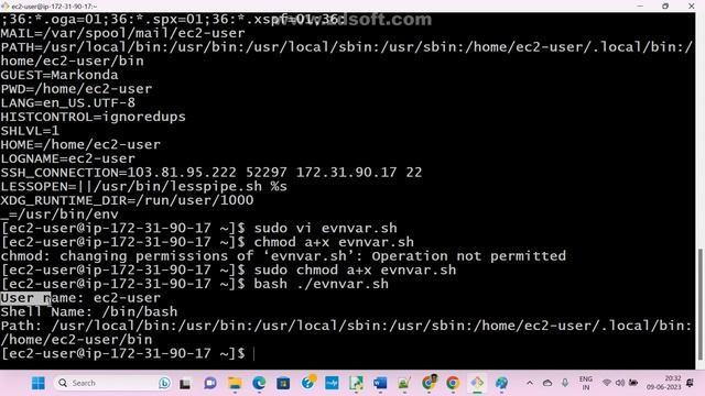 Shell смотреть онлайн