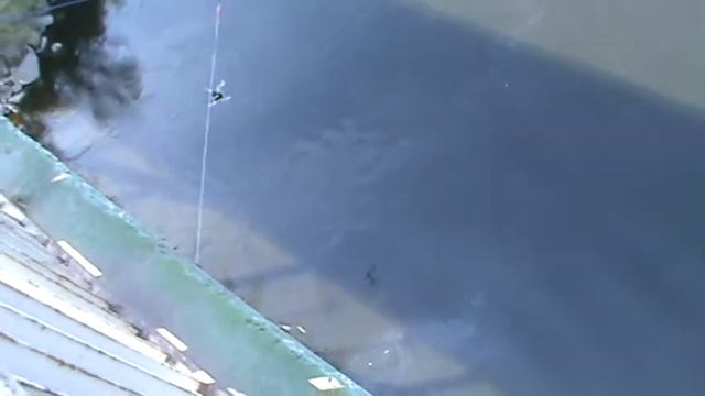 База (ropejumping 14.05.11) смотреть онлайн