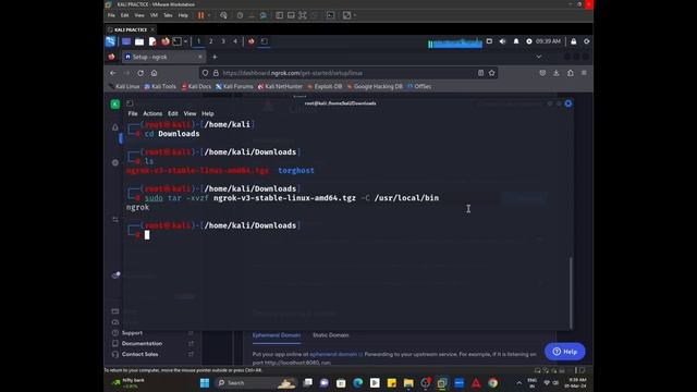 cybersecurity ngrok tool 2024 | convert any private ip to public ip | #cybersecurity #learning #kal смотреть онлайн