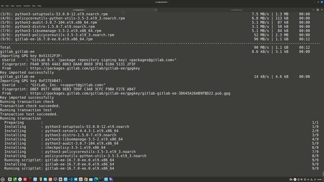 Как установить GitLab на Oracle Linux 9.3 смотреть онлайн