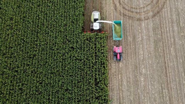 Mais silieren 2020 am Riesrand mit Claas Jaguar 870 und einigen Case смотреть онлайн