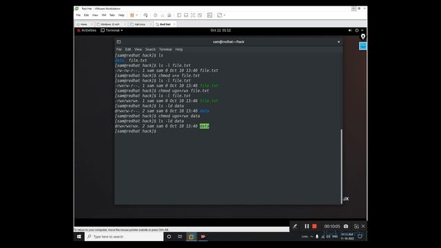 How to give permission in kali linux Hindi | linux file permission | смотреть онлайн