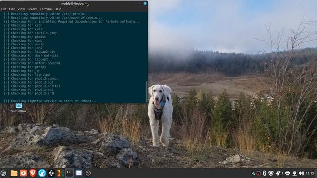 Updating Raspberry Pi-Hole via SSH from Linux Mint смотреть онлайн