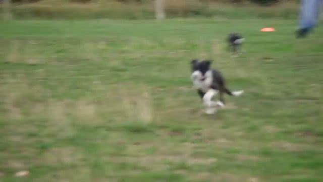 56. Day (Antrax, Arn & Armageddon)