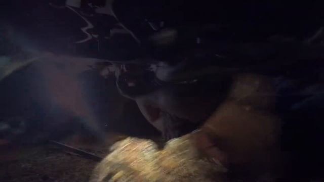 Black JAC gets a fresh Trans! (No Mo Lockout) смотреть онлайн