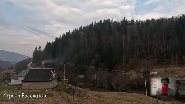 Свекровь отбирала зарплату у наивной невестки, но сегодня её ждёт сюрприз... смотреть онлайн