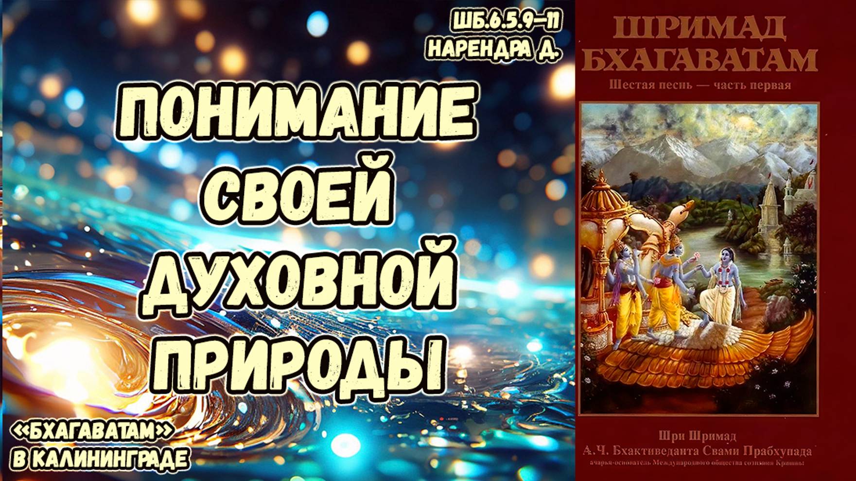 Понимание своей духовной природы. Нарендра д. ШБ.6.5.9–11