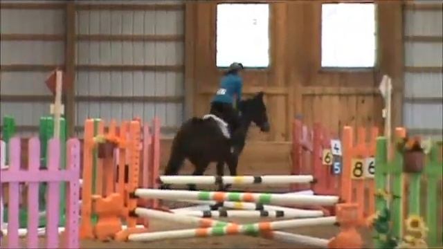 Snuffy At Fox Crossing January 2013 Little Jumps 2