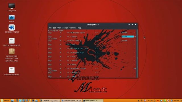 Staying Safe List Active Connections to & from your Linux Mint 18 смотреть онлайн