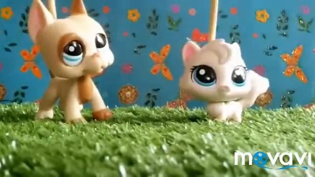 LPS Apple cat. Сестра отвечает на вопросы про lps? смотреть онлайн