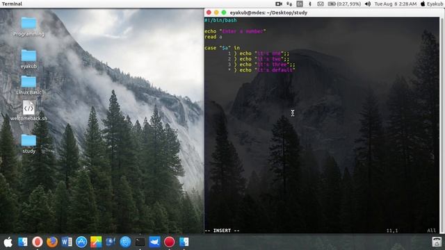 Linux shell - 07 Shell script (switch condition) смотреть онлайн
