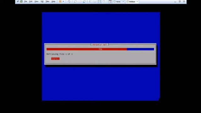 Install Debian 8 dengan alat VMware смотреть онлайн