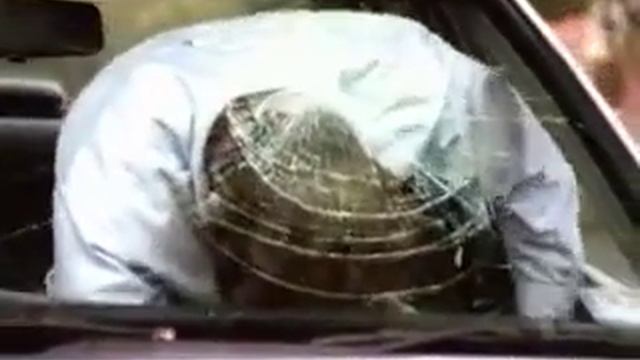 Always Wear car seat belt смотреть онлайн