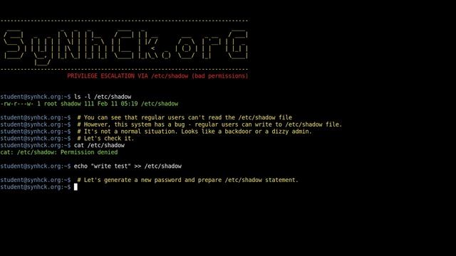 SyNhCk - Linux privilege escalation via /etc/shadow (wrong permissions). смотреть онлайн