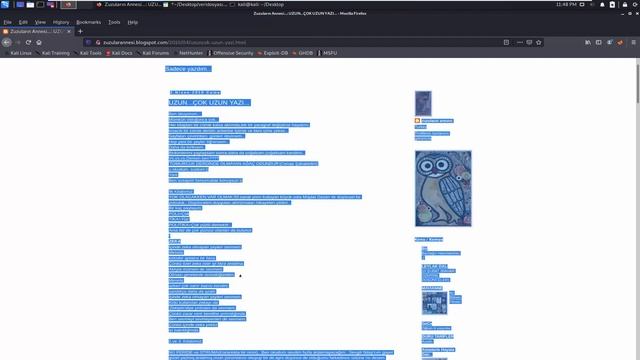 Linux Eğitimi-2 смотреть онлайн
